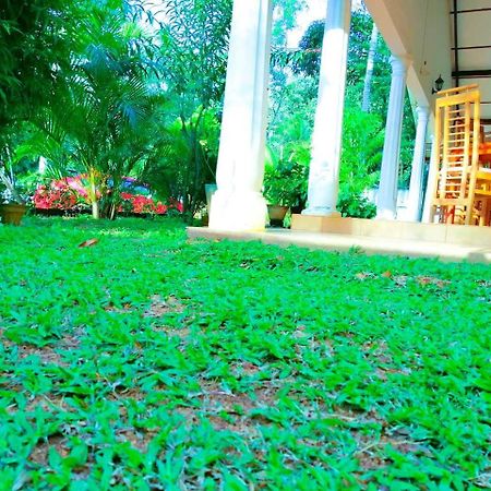 New Sigiri Terrace Hotel Kibissa Exterior photo
