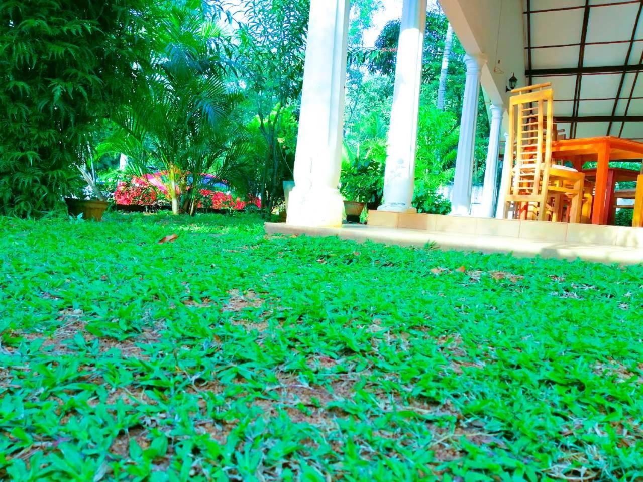 New Sigiri Terrace Hotel Kibissa Exterior photo